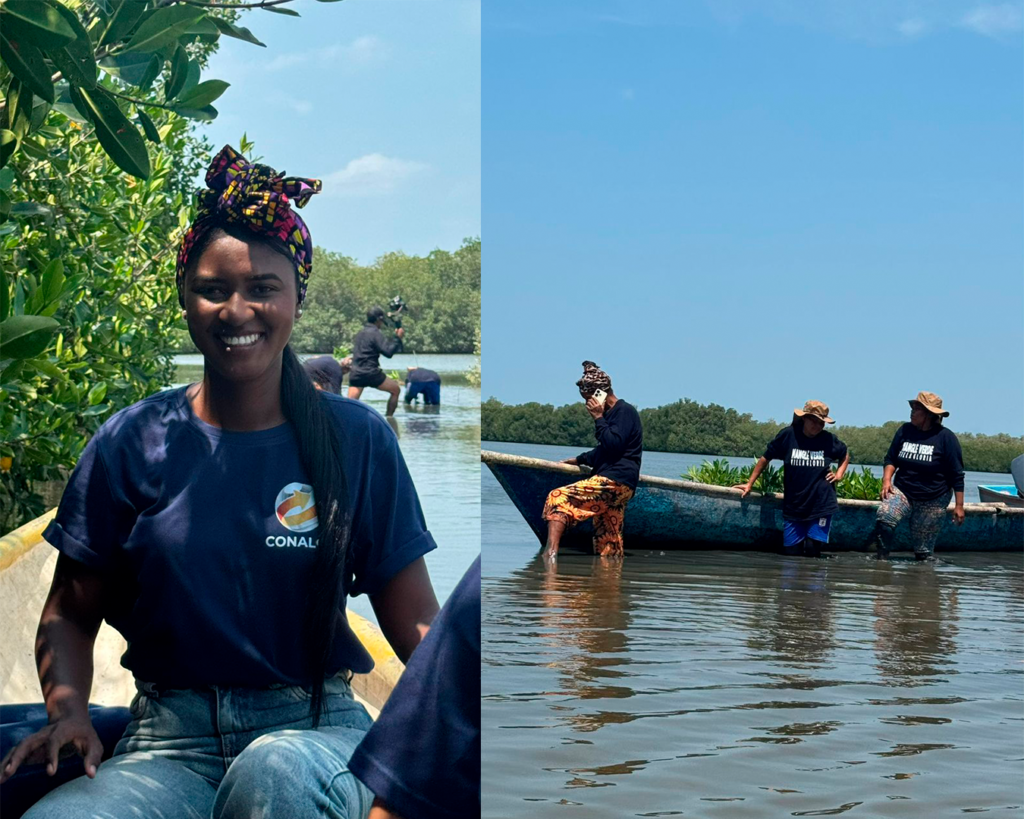 Sembramos más de 5.000 manglares en Cartagena. Los manglares cuidan el agua, la biodiversidad y a las comunidades costeras.